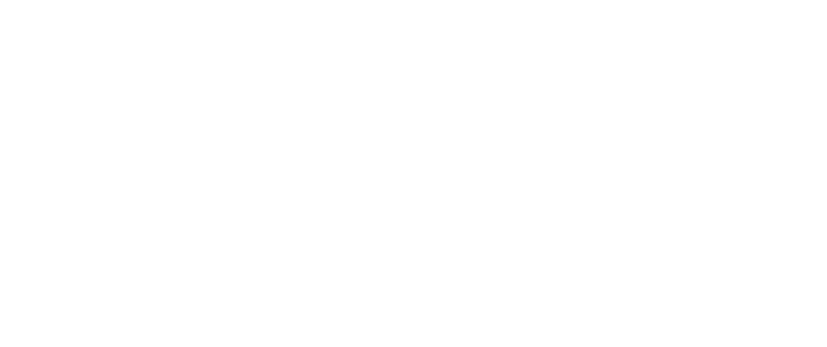 BWT-logo-w.png