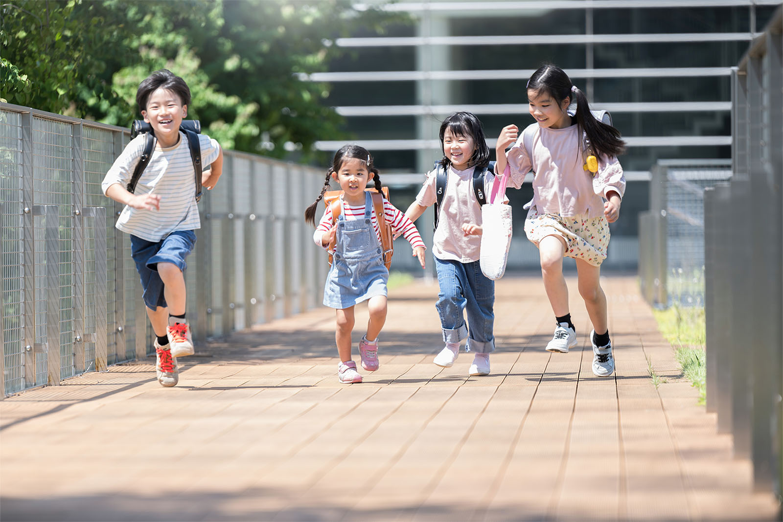 shutterstock_2472370051